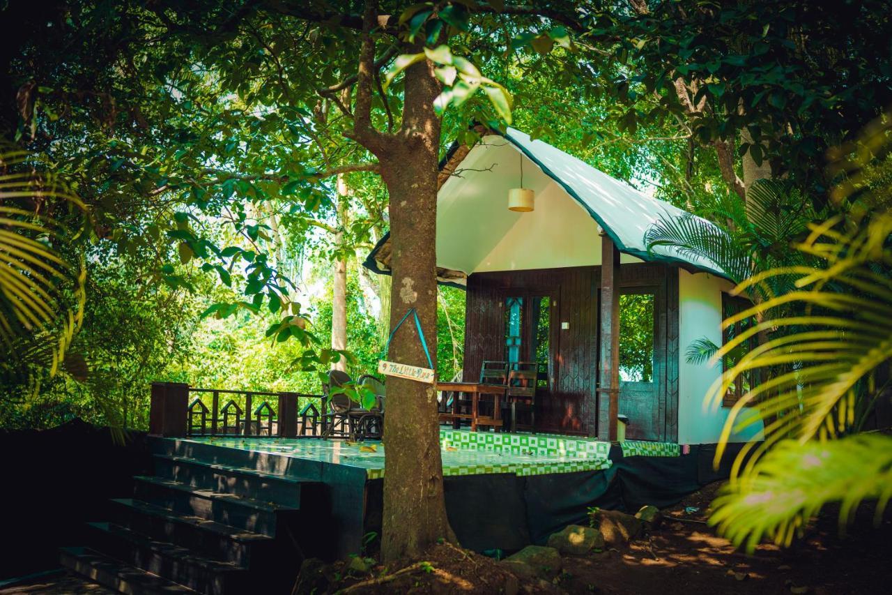 La La Land Resort Goa By Spicy Mango Palolem Exteriör bild